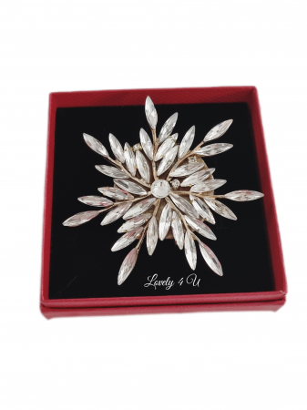 BROSA FULG DE NEA, BROSA FULG, BROSA PIETRICELE, BOSE DAMA, BROSA FEMEI, CADOU DEOSEBIT, CADOU SPECIAL, CADOU DE CRACIUN, CADOU UNICAT, BIJUTERII DE CRACIUN, ACCESORII LOVELY 4 U, PIETRICELE,AUR,FULG [13]