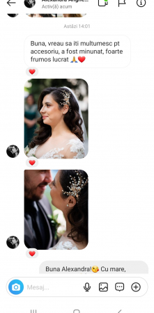 PIEPTAN MIREASA, DIADEMA MIREASA, ACCESORIU PAR MIREASA, ACCESORII DE PAR MIRESE, ACCESORII NUNTA, ACCESORII CU PERLE, DIADEMA CU PERLE, PIEPTAN VOAL MIREASA, BIJUTERII PAR MIREASA, CORONITA, TIARA [9]