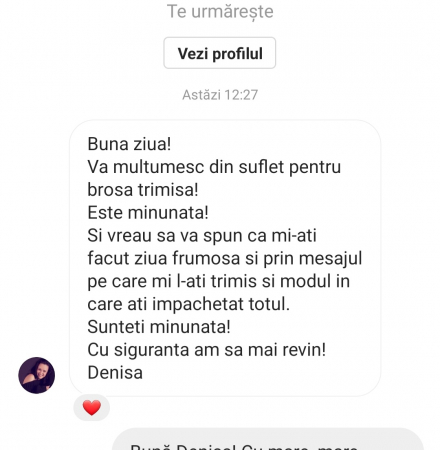 Bijuterii craciun, accesorii dce craciun, accesorii de iarna, Acesorii LOVELY 4 U, CADOU SPECIAL, CADOU DE CRACIUN, CADOU pentru ea, CADOU de IARNA, BROSA CORONITA< CORONITA DE CRACIUN, CORONITA , CATIFEA [8]
