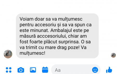 AGRAFA MIREASA, AGRAFE CU PIETRICELE, PIN MIREASA, AGRAFE MIREASA,  ACCESORII DE PAR MIRESE, ACCESORII NUNTA, PIEPTAN VOAL MIREASA, BIJUTERII PAR MIREASA, DIADEMA MIREASA, TIARA MIREASA, ACCESORII2023 [8]