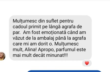PIEPTAN MIREASA, DIADEMA MIREASA, ACCESORIU PAR MIREASA, ACCESORII DE PAR MIRESE, ACCESORII NUNTA, ACCESORII CU PERLE, DIADEMA CU PERLE, PIEPTAN VOAL MIREASA, BIJUTERII PAR MIREASA, [6]