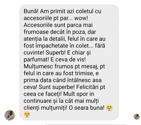 CORONITA MIREASA,CORONITA CU FLORI,DIADEMA MIREASA, DIADEMA , FLORI CIRES,  CORONITA CU FRUNZE AURII, BIJUTERII MIREASA, COAFURI MIREASA, ACCESORII PAR MIREASA, ACCESORII DE LUX MIREASA, SWAROVSKI [21]