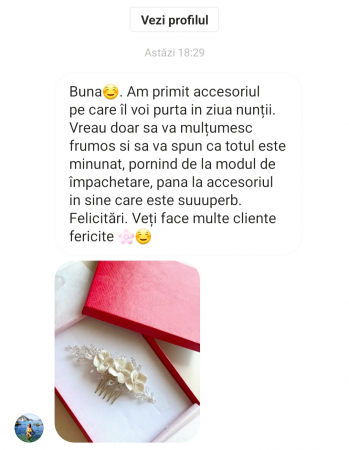 Pieptăn mic mireasa, accesoriu mic mireasa, accesoriu boem mireasa, bijuterii mireasa, ACCESORII LOVELY 4 U, ACCESORII 2023, AGRAFA COC MIREASA, DIADEMA MIREASA, ACCESORIU CU FLORI MIREASA, TIARA, MIC [6]