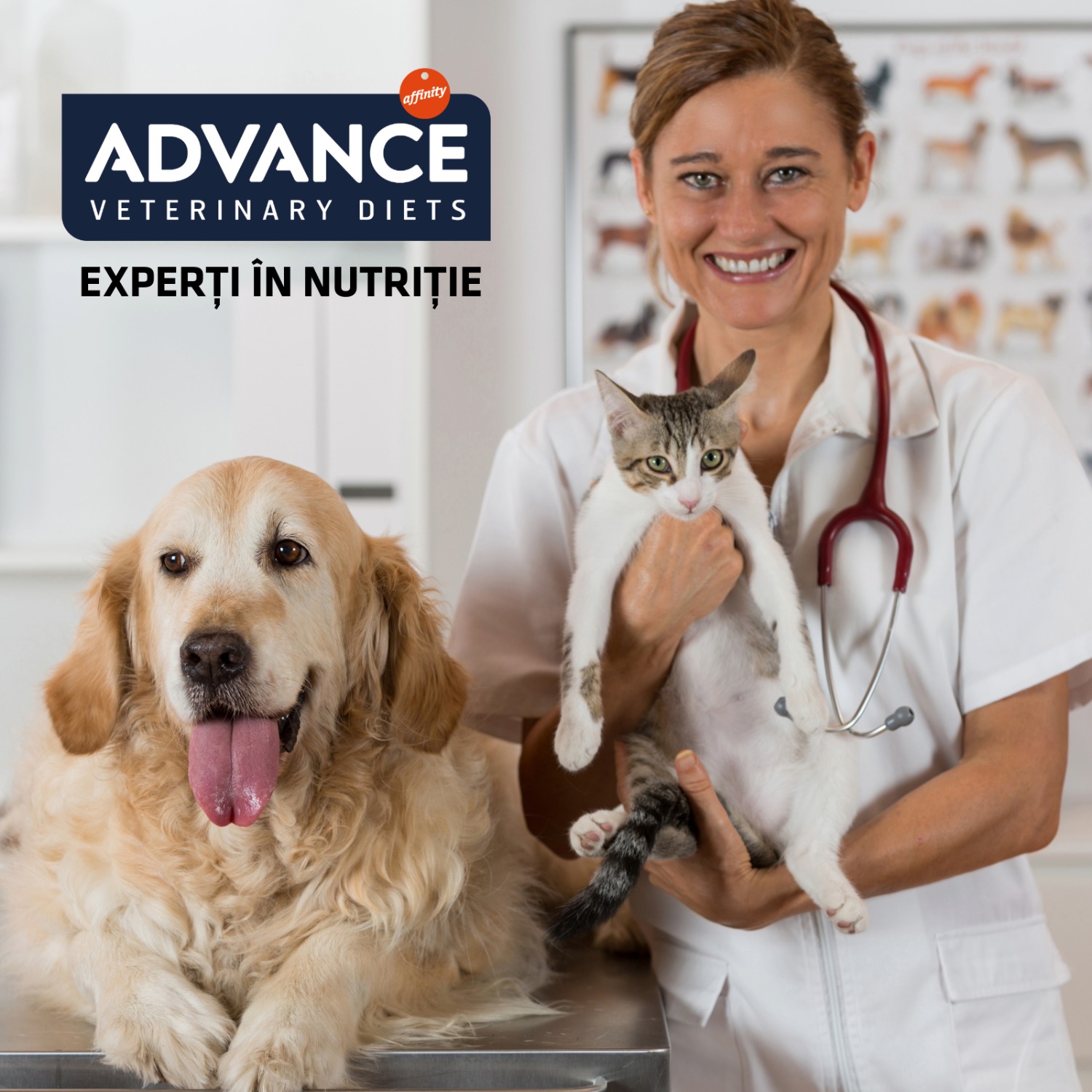 Advance - Experti in nutritie