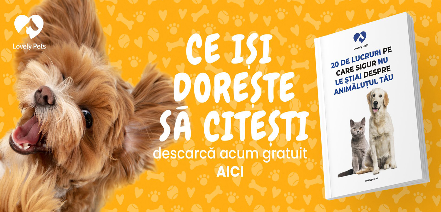 Ce isi doreste sa citesti?