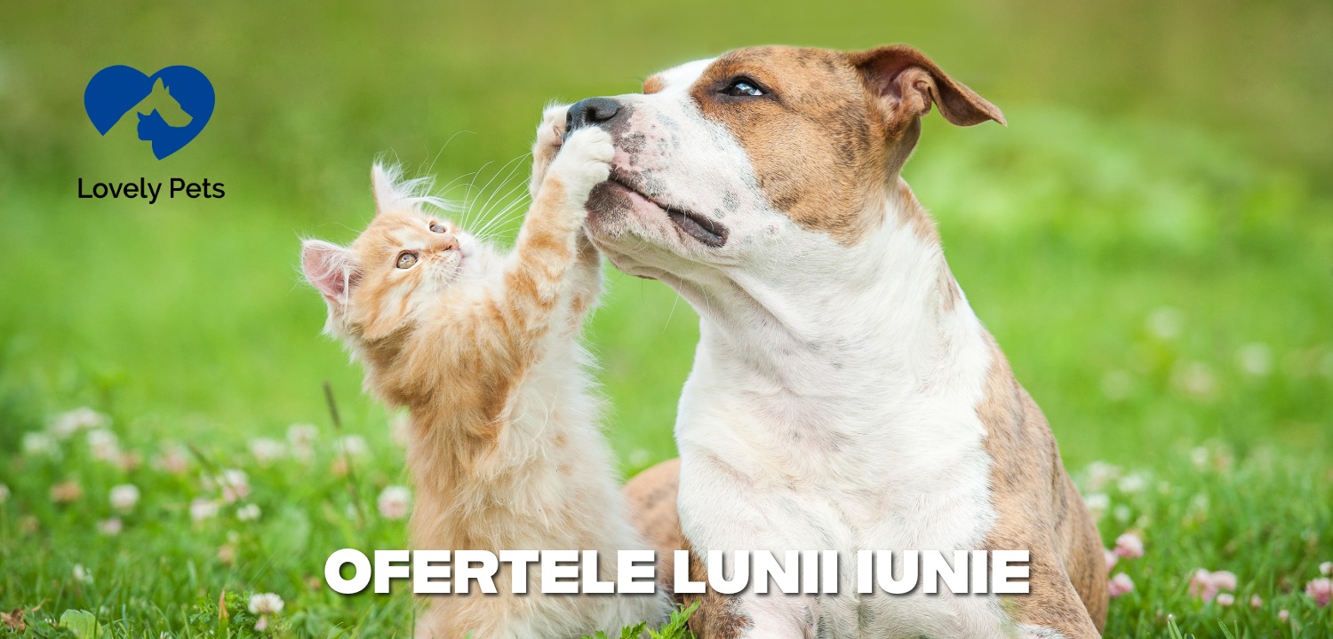 Ofertele Lunii