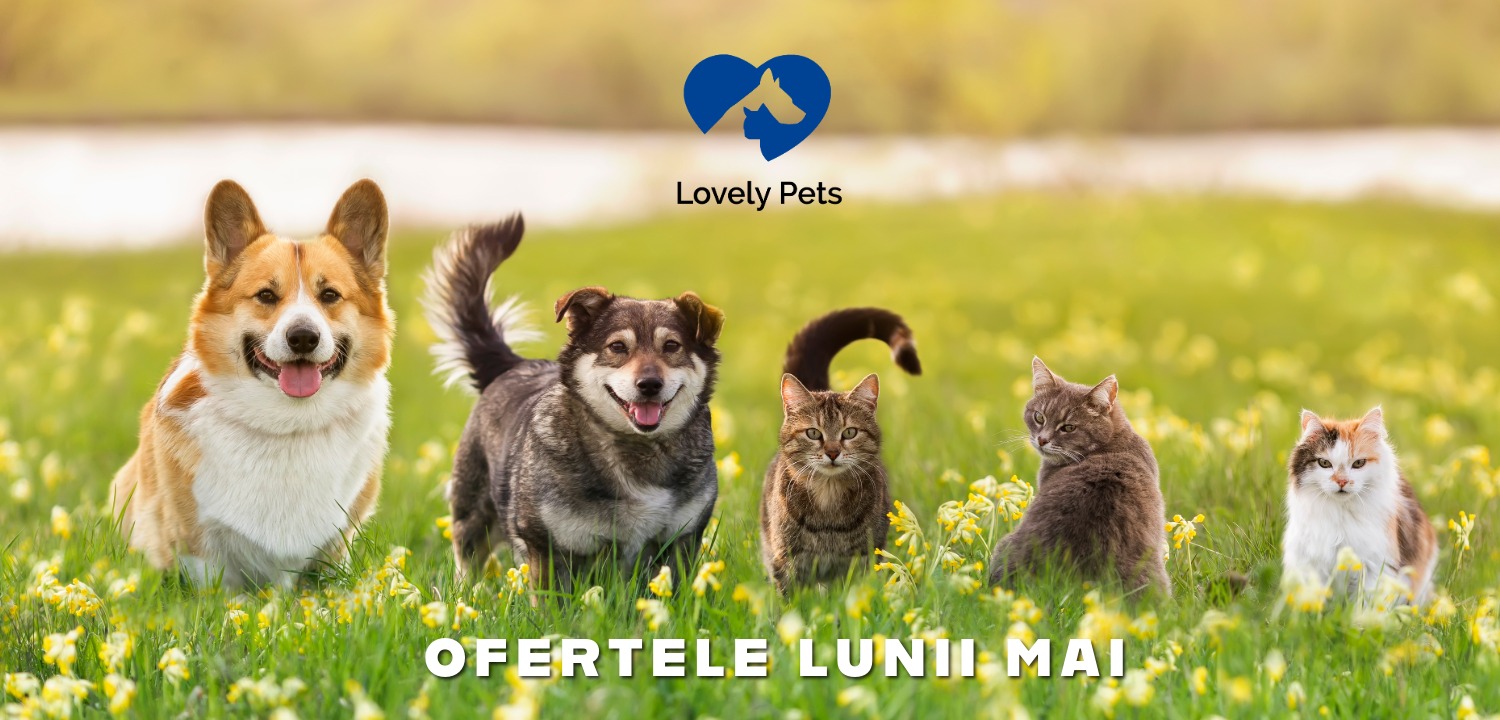 Ofertele Lunii