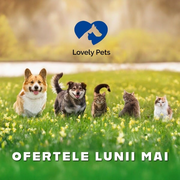 ofertele lunii mobil