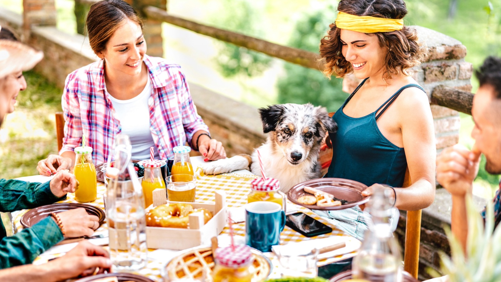 Împreună la Masa de Paște: de ce nu este bine să îți hrănești câinele sau pisica cu mâncarea ta