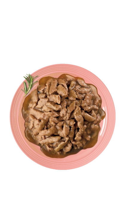 ADVANCE CAT WET DELICATESSEN SOMON 85GR (24BUC/BAX) [4]