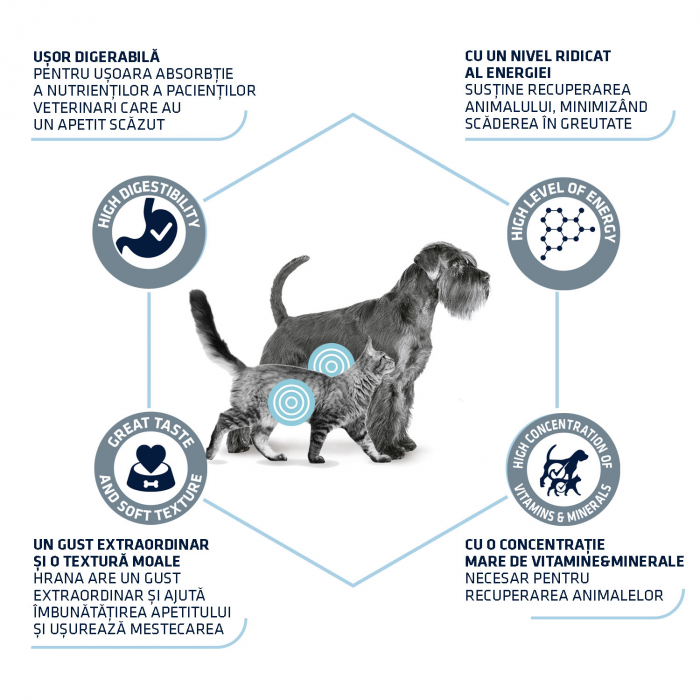 Advance Veterinary Diets Dog & Cat Wet – Recovery [4]