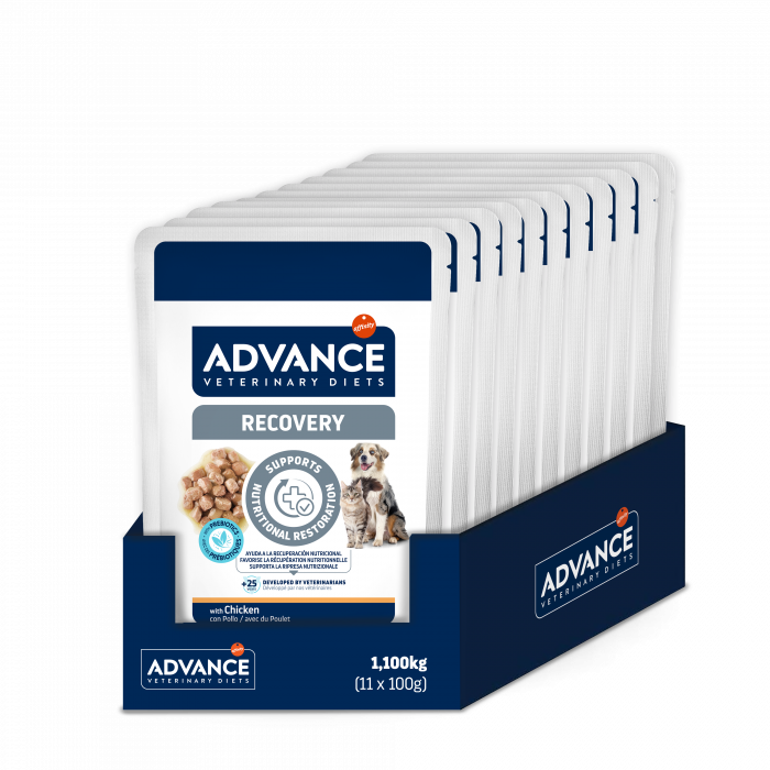 Advance Veterinary Diets Dog & Cat Wet – Recovery [3]