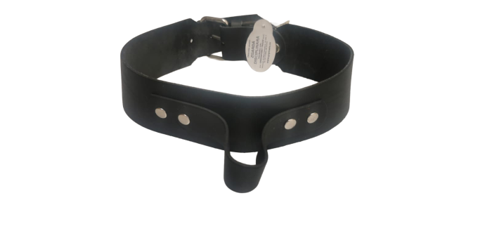 ZGARDA PIELE DISCIPLINARA [2]