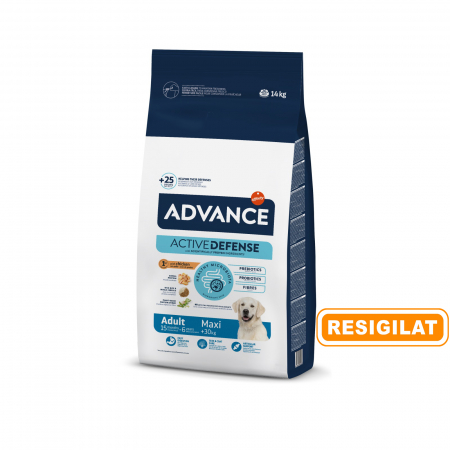 Capete de stoc - Advance Câine - În limita stocului - Maxi Adult 14 kg