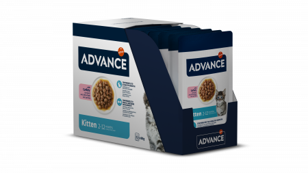 Pisici - Advance Wet Kitten – Cu Curcan