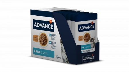 Pisici - Advance Wet Kitten – Cu Pui