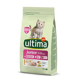 Pisici - Ultima - Pisică Junior cu Carne de Pui 1,5 kg