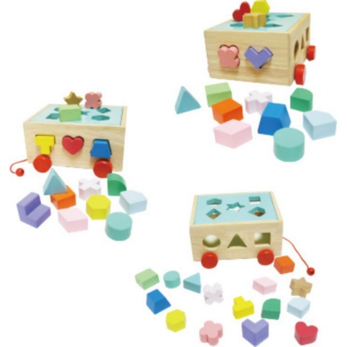 Carucior educational cu blocuri din lemn Ecotoys HM015197 [5]