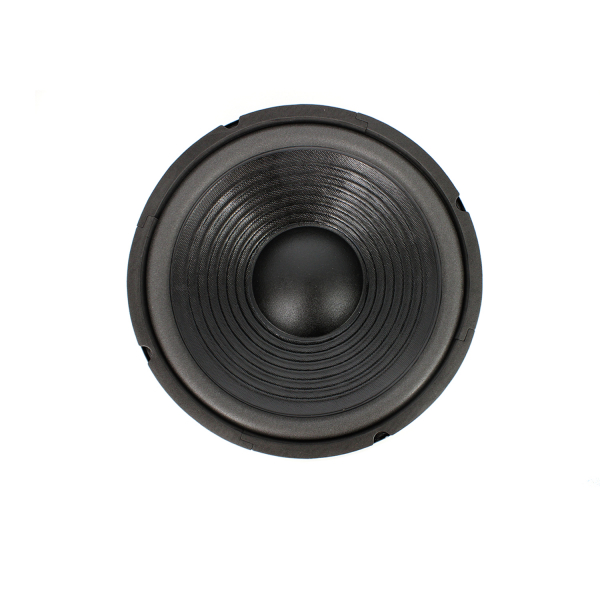 Difuzor HI-FI HOME 10\" (254 mm) 120/240W / 8 Ohm [2]