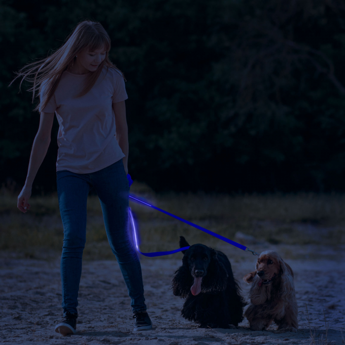 Lesa pisici sau caini, cu iluminare LED - functioneaza cu baterie - 120 x 2,5 cm - albastru [2]