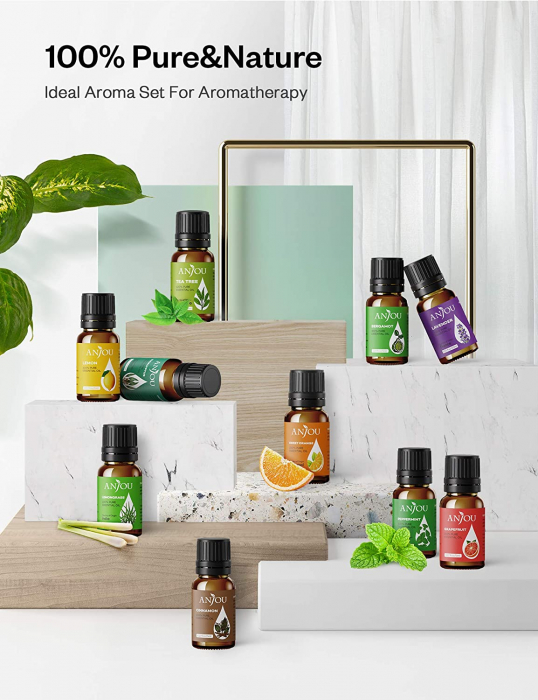 Set Difuzor aromaterapie Anjou AJ-PCN082 cu 8 uleiuri esentiale pure [4]