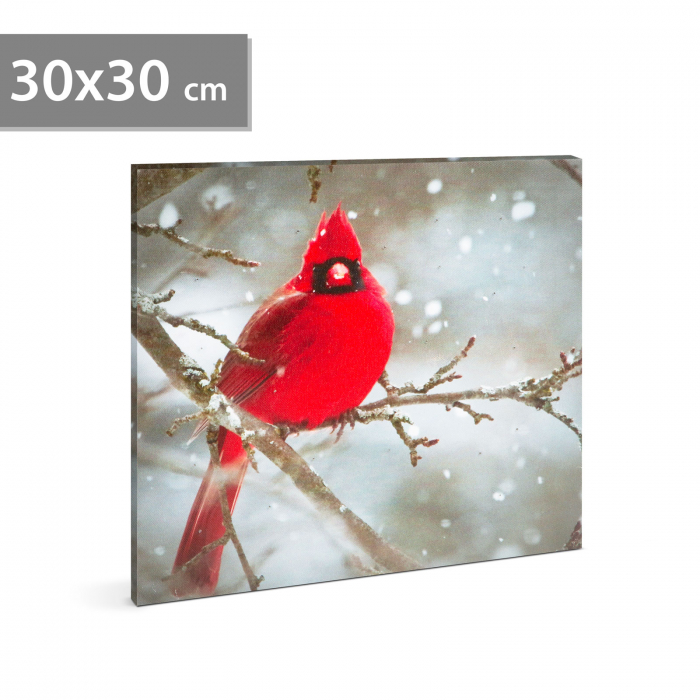 Tablou cu LED - cinteză roșie - 2 baterii AA - 30 x 30 x 1,5 cm (58478) [2]