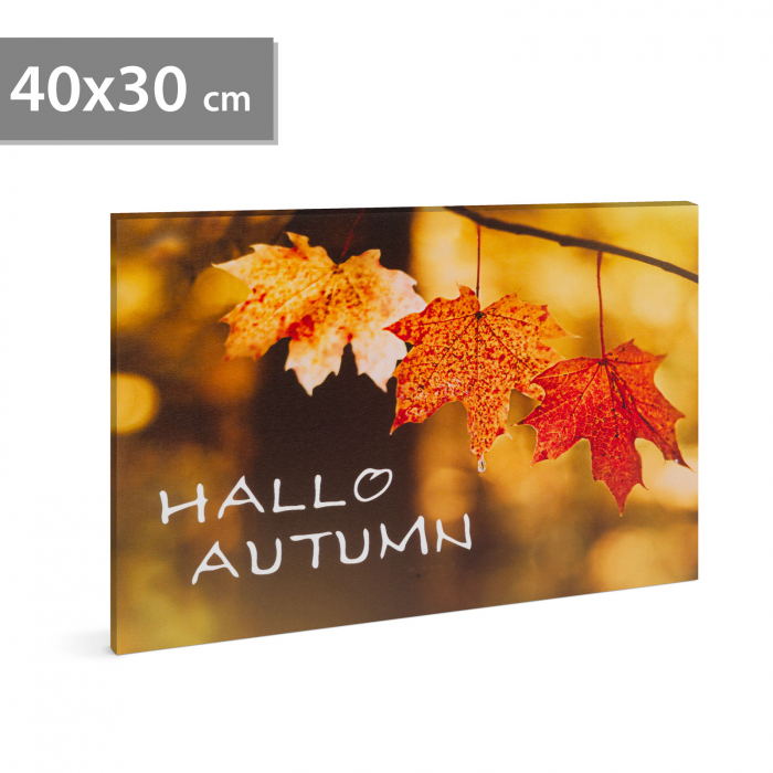 Tablou LED peisaj de toamna - "Hello Autumn" - 2 x AA, 40 x 30 cm [1]