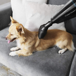 Aspirator de mana Cecotec Conga Immortal ExtremeSuction 22,2V Animal Hand, aspira si aranjeaza parul de animal, baterie Li-Ion, reincarcabil, 25 min autonomie, negru [5]