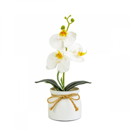Decoratiuni interioare - Decorațiune cu plantă artificială – Orhidee albă – 20 x 9 cm
