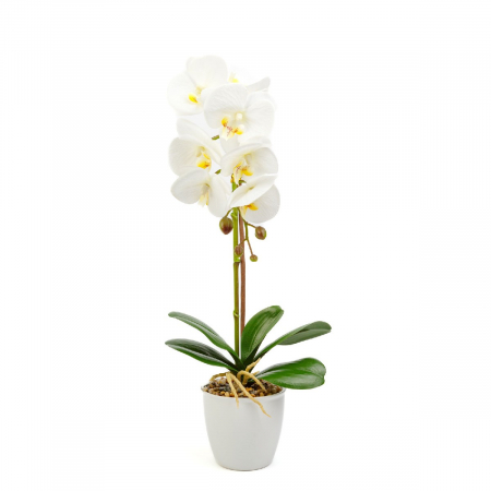 Decoratiuni interioare - Decorațiune cu plantă artificială – Orhidee albă – 48 cm