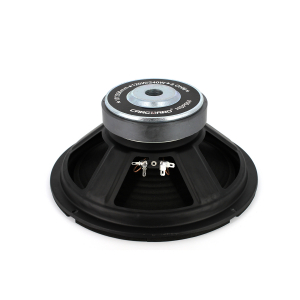 Difuzor HI-FI HOME 10\" (254 mm) 120/240W / 8 Ohm [3]
