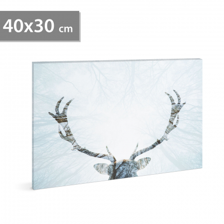 Decoratiuni interioare - Imagine de dispoziție de perete cu LED - ren - 2 x AA, 40 x 30 cm