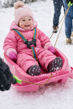 Sanie copii +12 luni, Marmat Mini cu spatar si centura - culoare Roz [4]