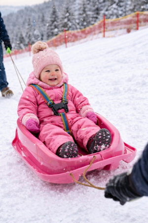 Sanie copii +12 luni, Marmat Mini cu spatar si centura - culoare Roz [3]