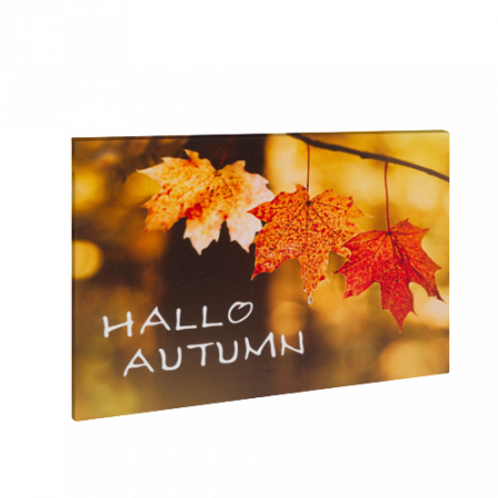 Decoratiuni interioare - Tablou LED peisaj de toamna - "Hello Autumn" - 2 x AA, 40 x 30 cm