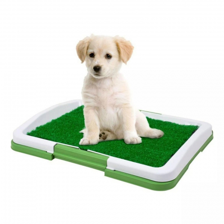 Pet Shop&Zoo - Toaleta WC pentru câini - 47 x 34 x 6 cm - 1 L