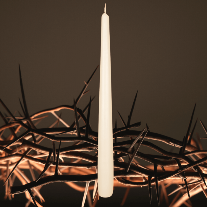 Lumânare conică Ivory H24/2 [2]