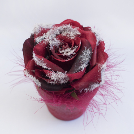 Floare decorativa in ghiveci, rosie [0]