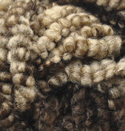fashion boucle 5574 - alize [1]