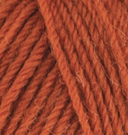 wooltime 433 - alize [1]