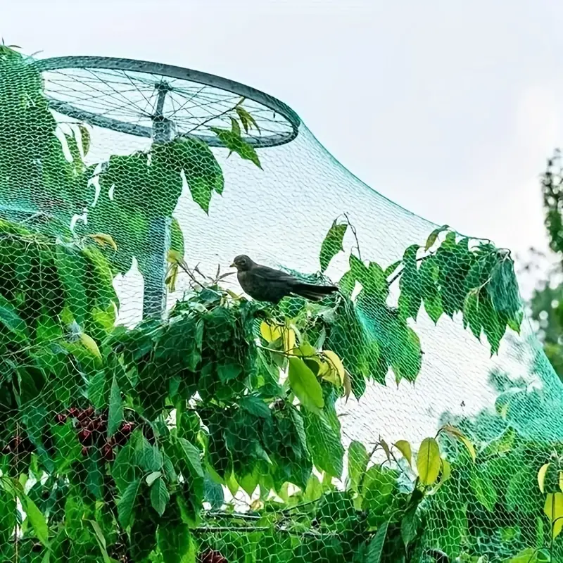 Plasa protectie plante anti-pasari 4m x 6m [3]