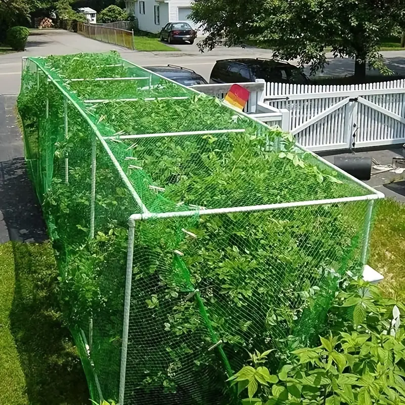 Plasa protectie plante anti-pasari 2m x 10m [4]