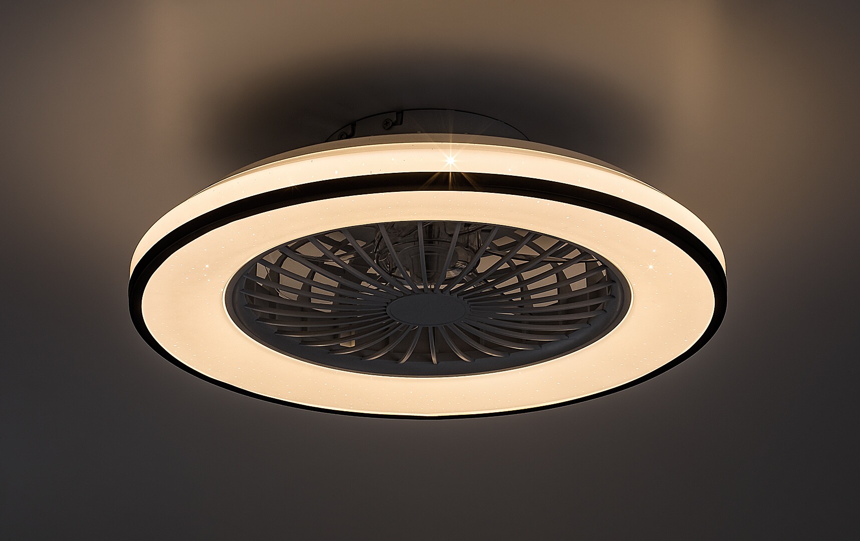 Ventilator Rabalux Dalfon2 LED 48W 2800lm 3000-6500 metal/ plastic black stil funcțional 230V, 50Hz IP20 71331 [2]