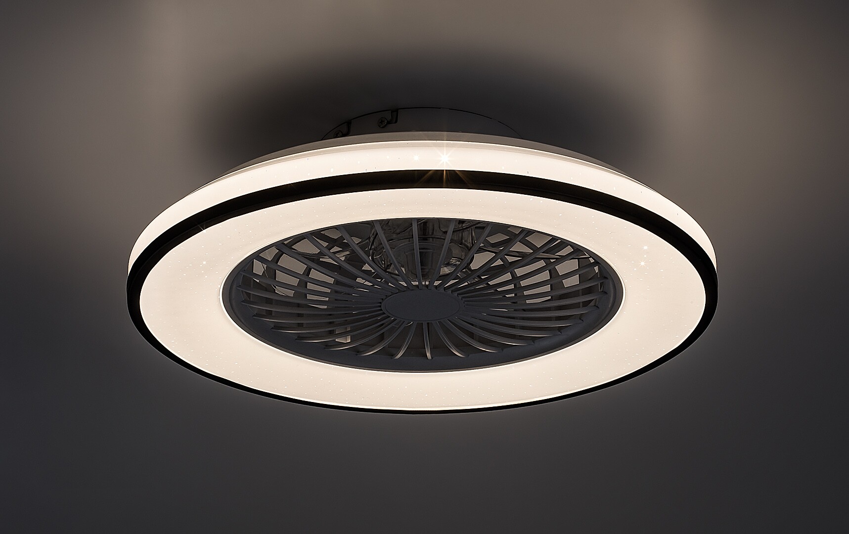 Ventilator Rabalux Dalfon2 LED 48W 2800lm 3000-6500 metal/ plastic black stil funcțional 230V, 50Hz IP20 71331 [3]