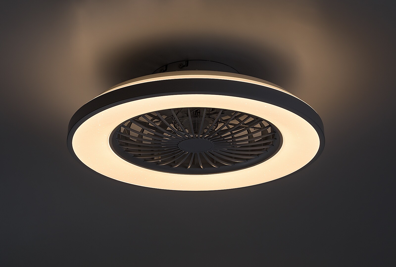 Ventilator Rabalux Dalfon2 LED 48W 2400lm 3000-6500 metal/ plastic white stil funcțional 230V, 50Hz IP20 71332 [2]