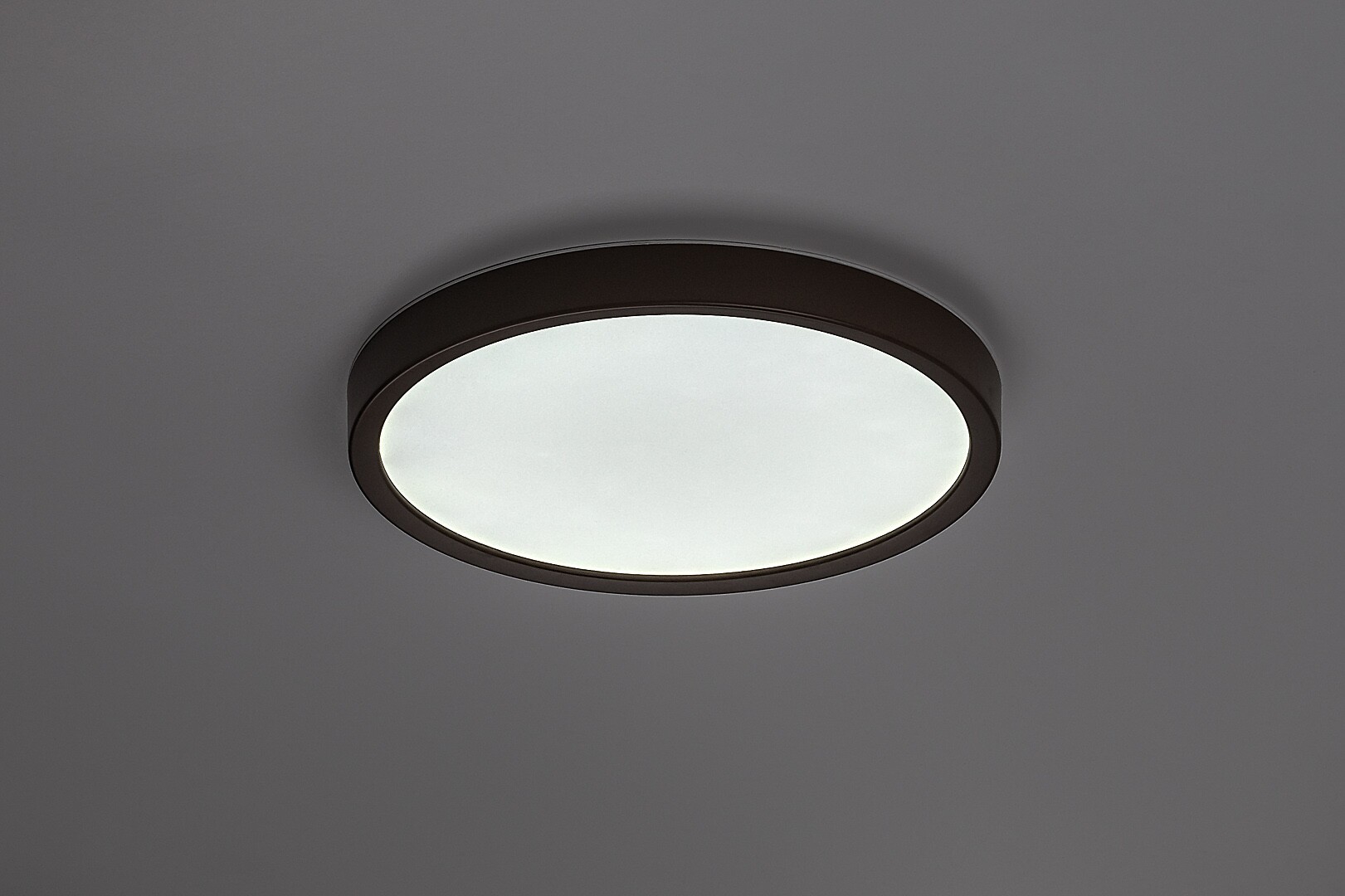 Plafoniera baie Rabalux Maurec LED 18W 1540lm 3000, 4000, 6000 plastic brown stil funcțional 230V, 50Hz IP44 75080 [3]