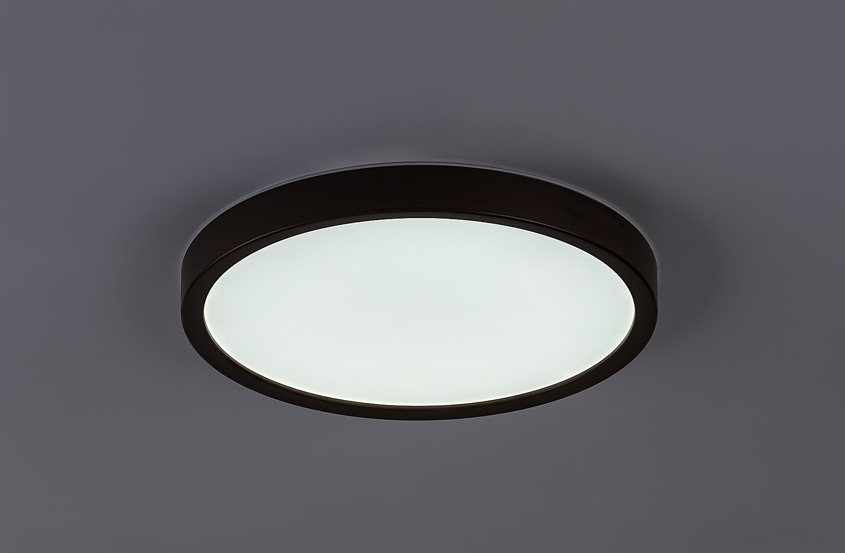 Plafoniera baie Rabalux Maurec LED 18W 1540lm 3000, 4000, 6000 plastic brown stil funcțional 230V, 50Hz IP44 75080 [5]