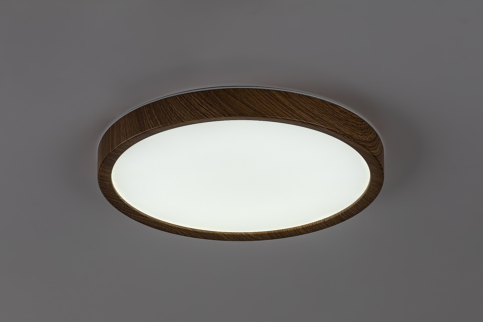 Plafoniera baie Rabalux Maurec LED 18W 1550lm 3000, 4000, 6000 plastic wood stil funcțional 230V, 50Hz IP44 75082 [3]