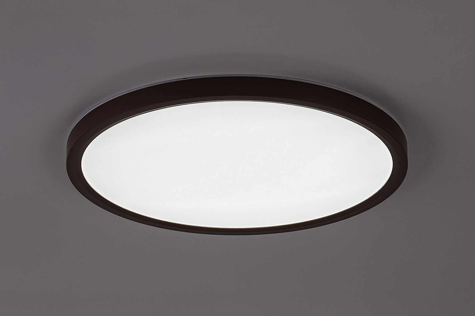 Plafoniera baie Rabalux Lautrec LED 24W 2030lm 3000, 4000, 6500 plastic brown stil funcțional 230V, 50Hz IP44 75083 [4]