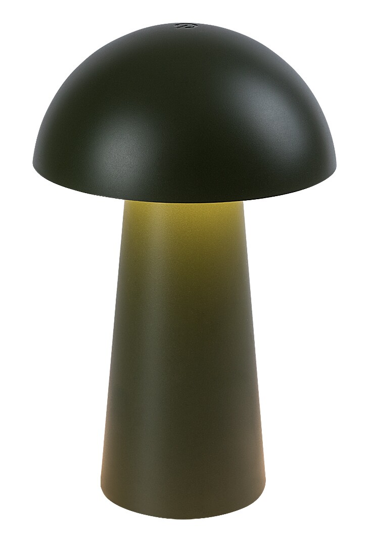 ILUMINAT - Veioza reincarcabila Rabalux Mireo LED 1,5W 60lm 3000 plastic green stil  DC 5V IP44 76038